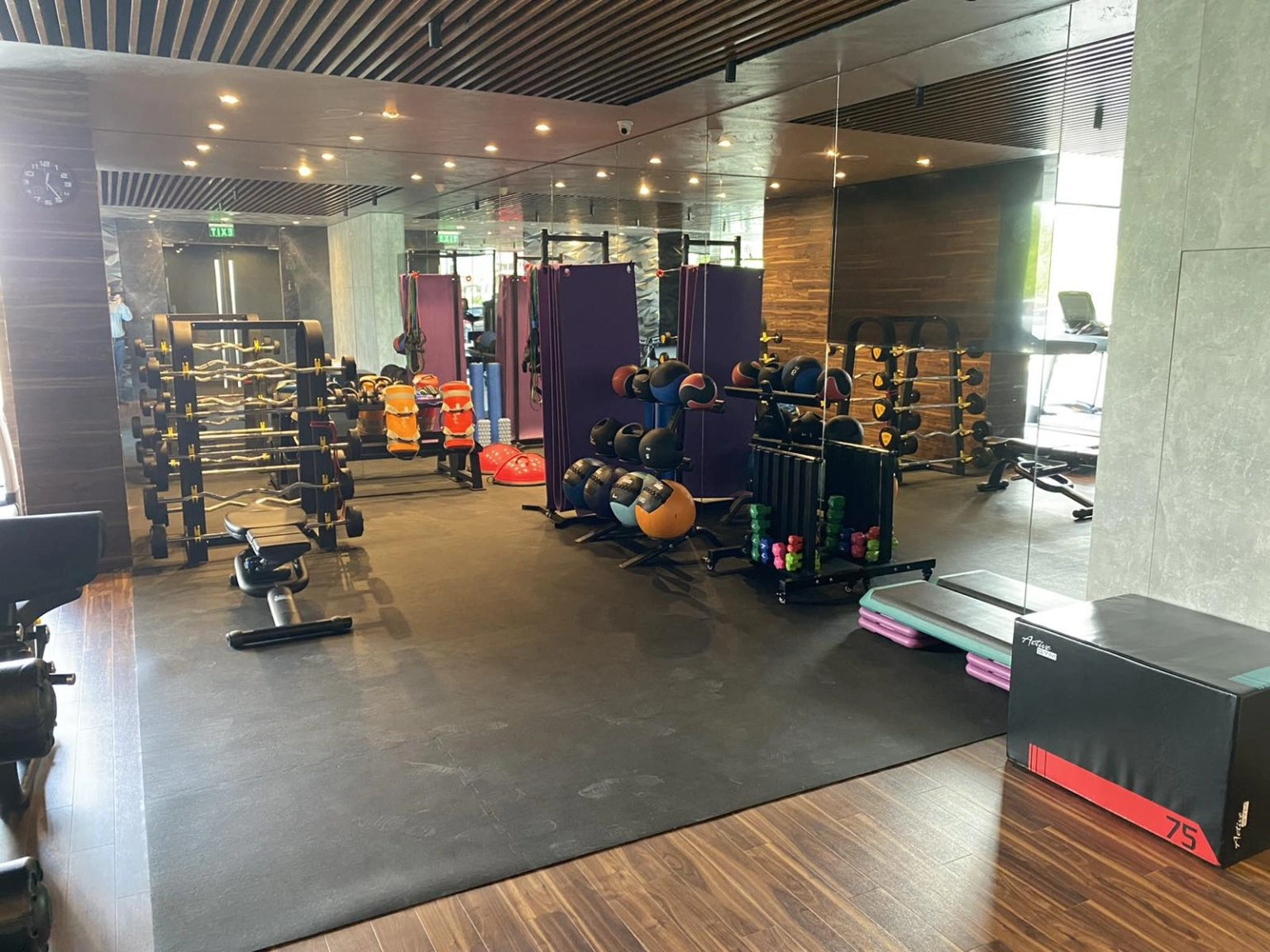 Commercial Fitness preview 2