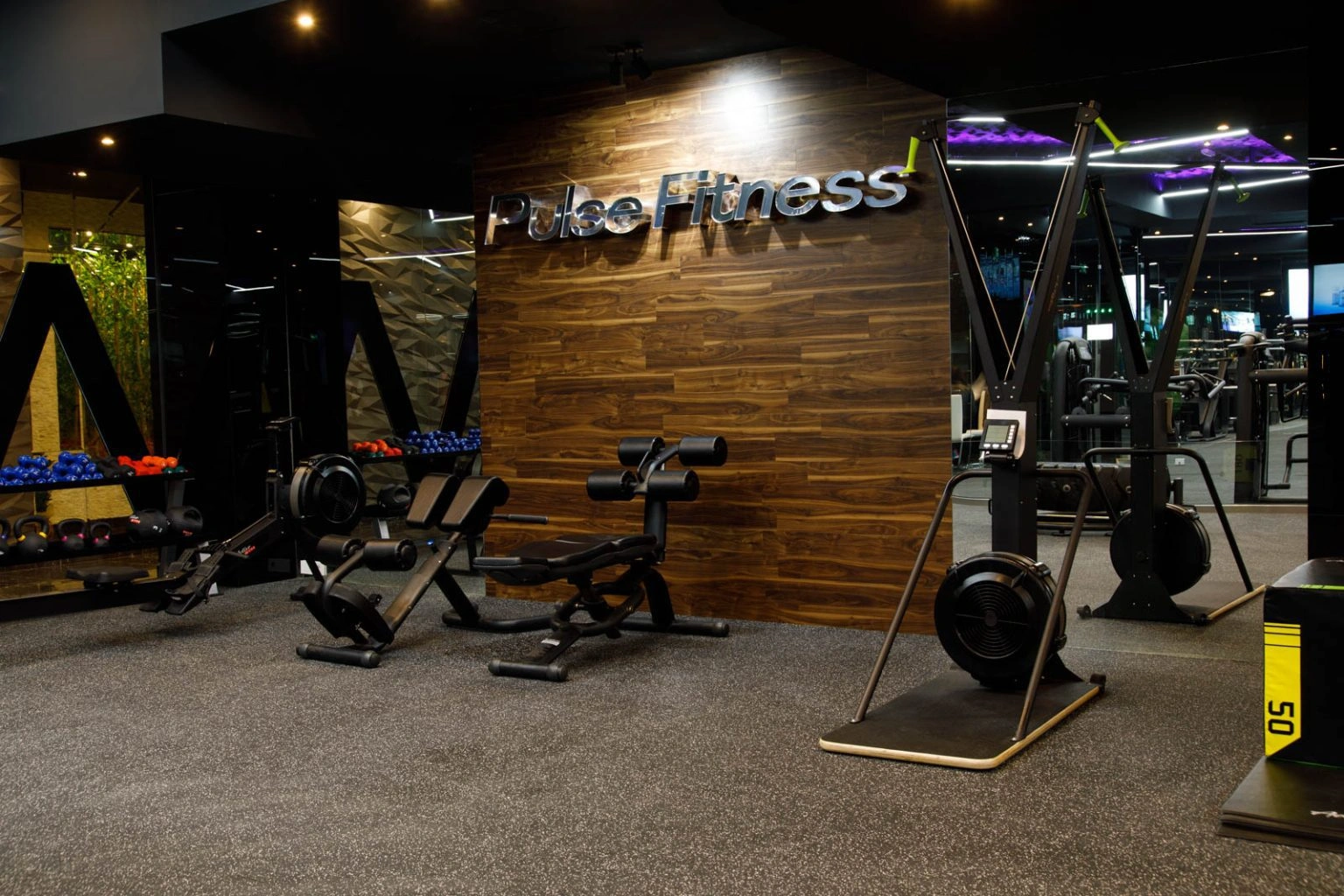 Commercial Fitness preview 4