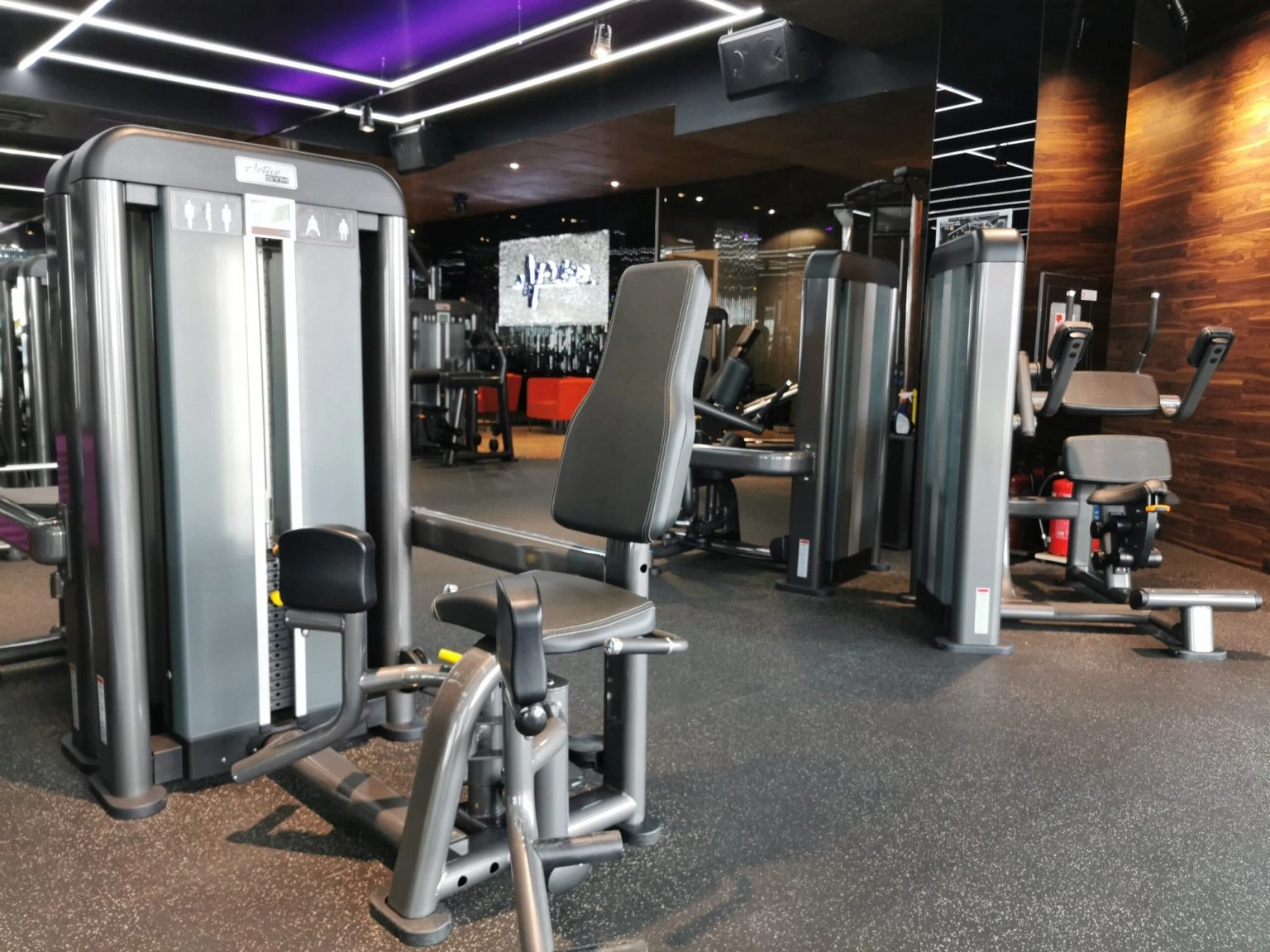Commercial Fitness preview 4